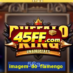 imagem do flamengo para perfil